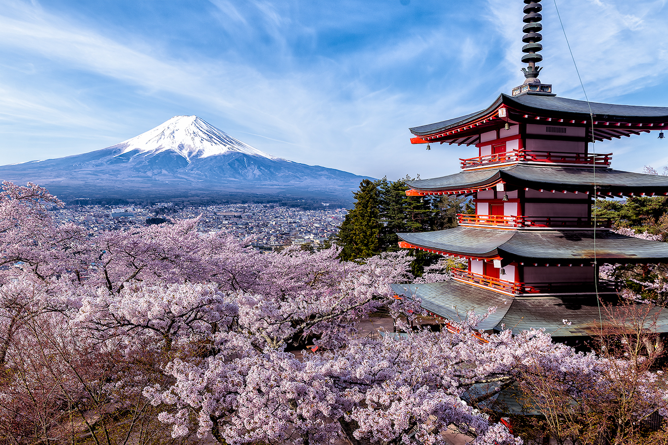 新倉山浅間公園（忠霊塔）からの富士山と桜