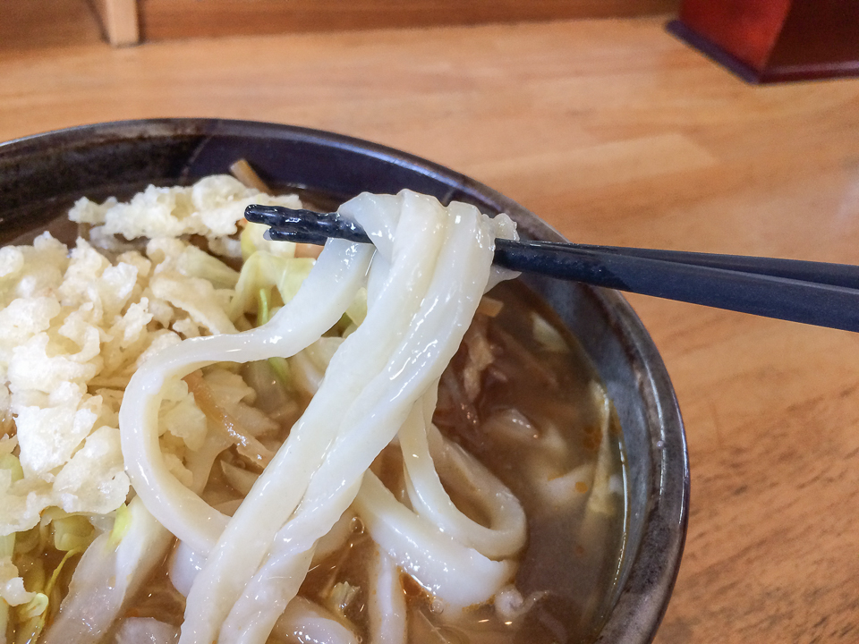 富士吉田うどん 麺許皆伝 きんぴらうどん