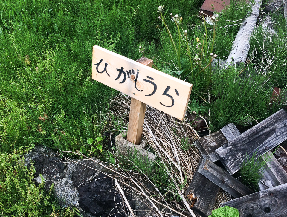 吉田のうどん東裏 駐車場にあるかわいい手書き看板