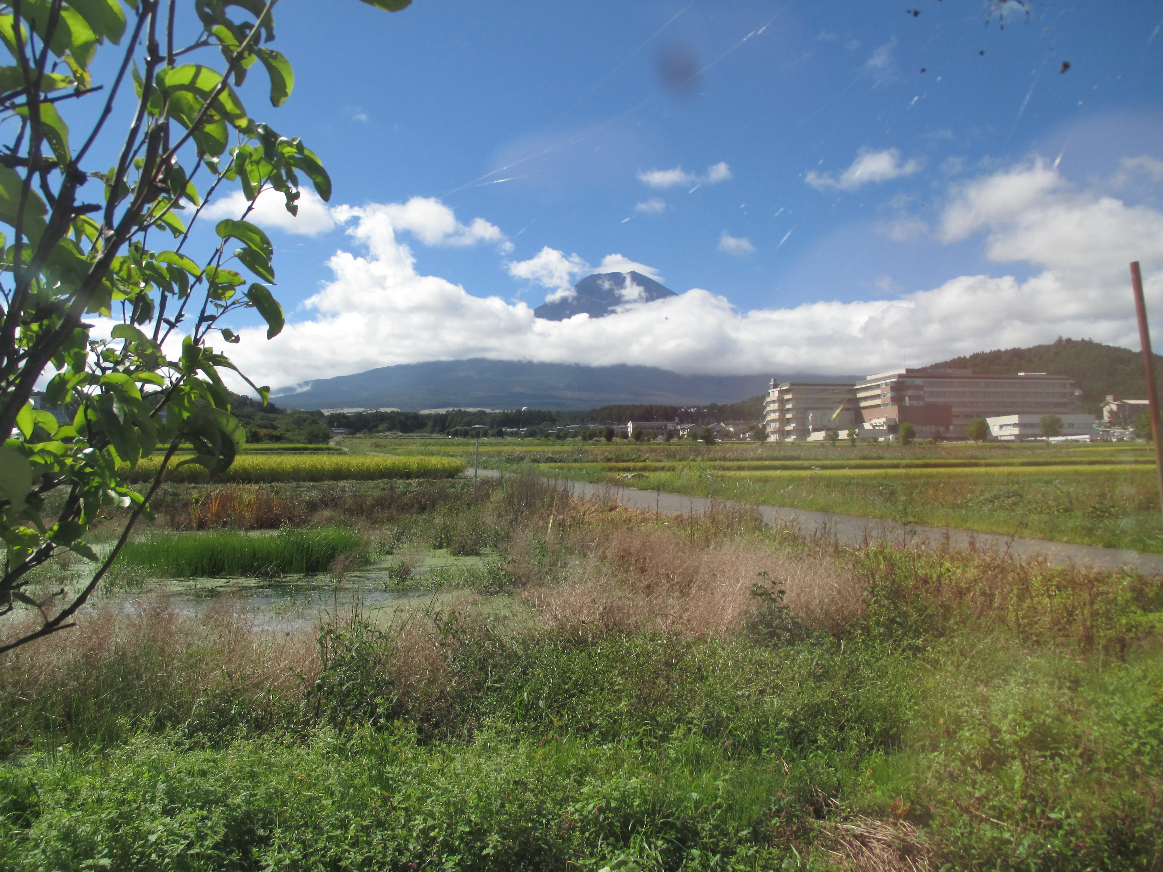 今日の富士山