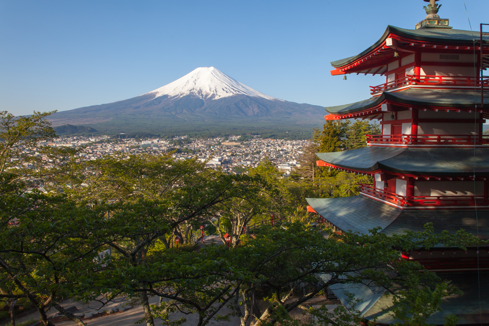 【富士山写真】 新緑がきれいになった新倉山浅間公園