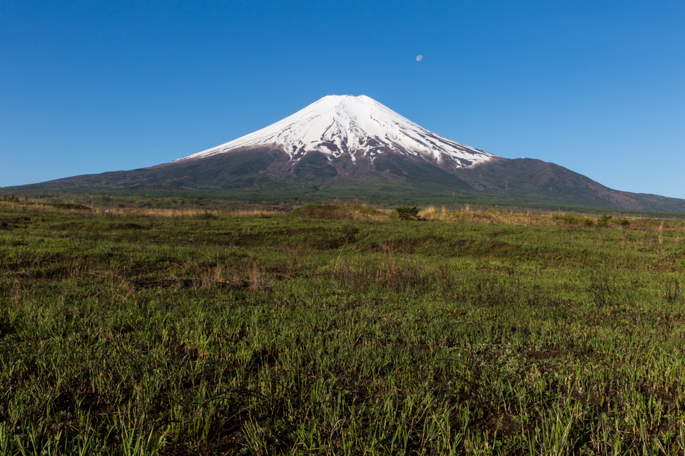 【富士山写真】 北富士演習場から