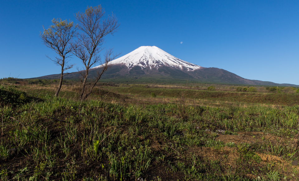 北富士演習場からの富士山
