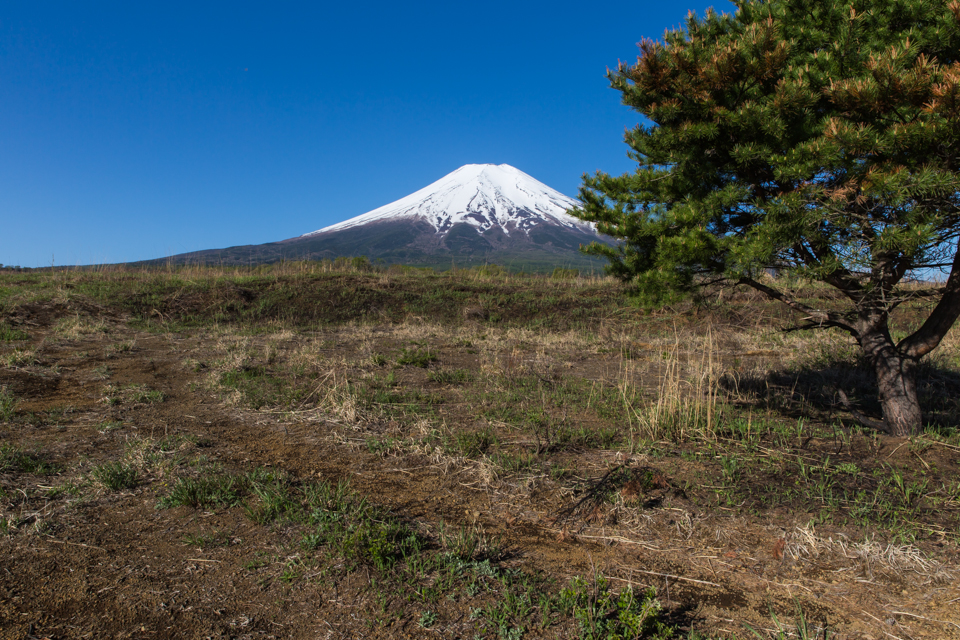 北富士演習場からの富士山
