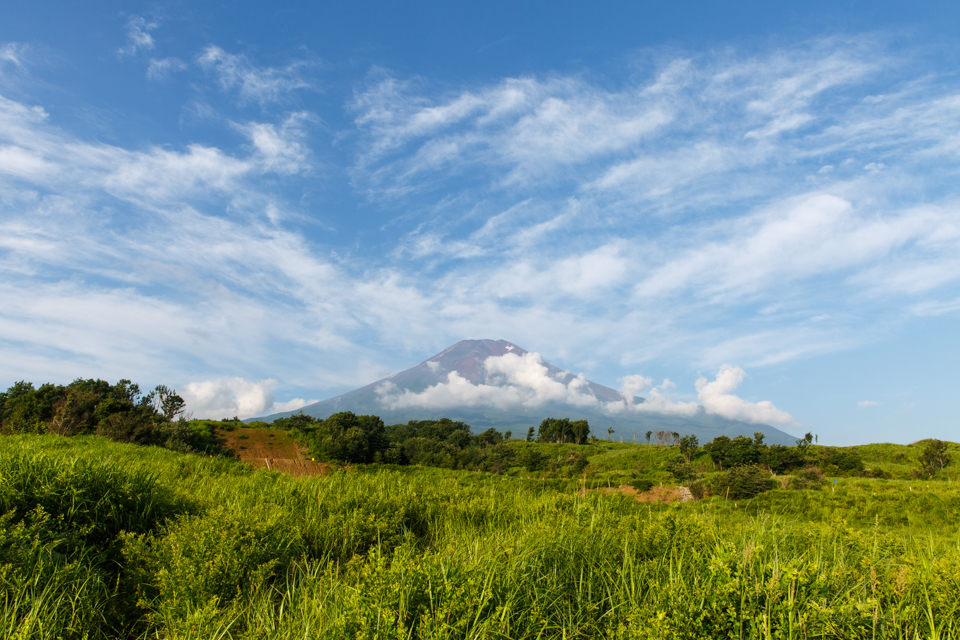 【富士山写真】 北富士演習場からの夏富士