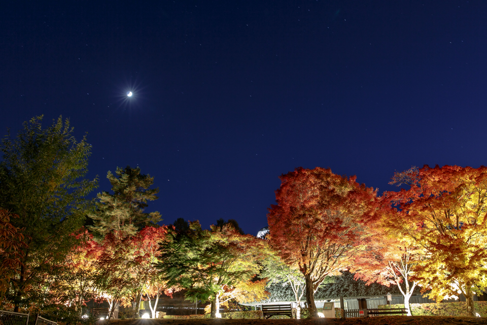 富士吉田市の紅葉状況