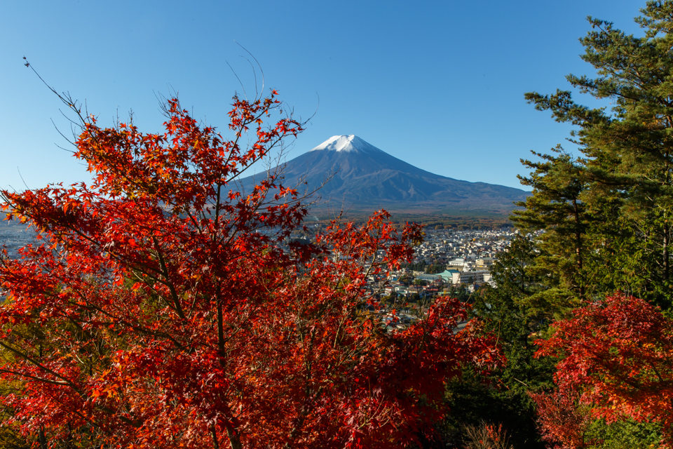 【富士山写真】 晩秋の新倉山浅間公園からの富士山