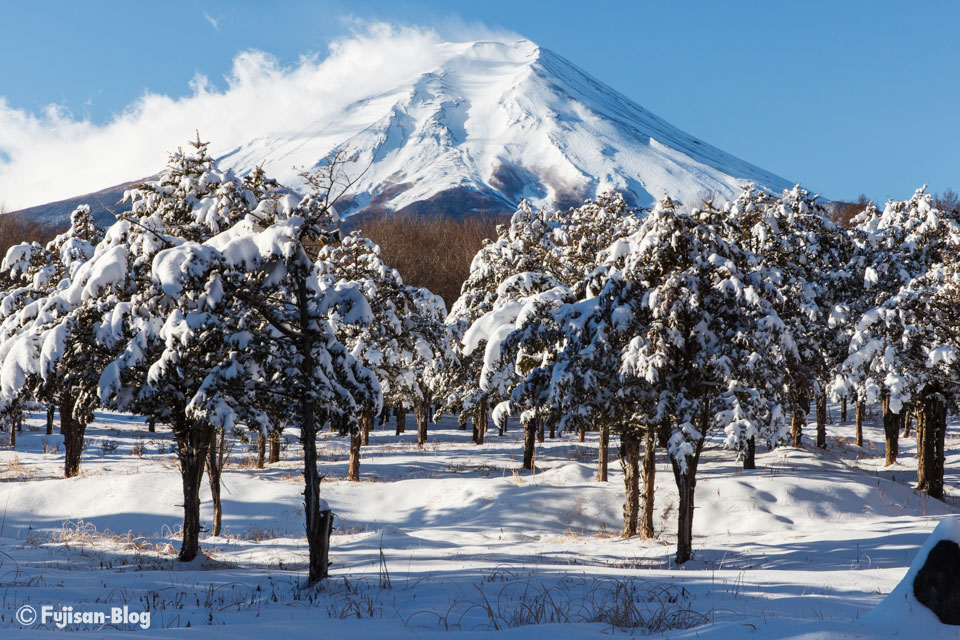 【富士山写真】 今シーズン2度目の積雪