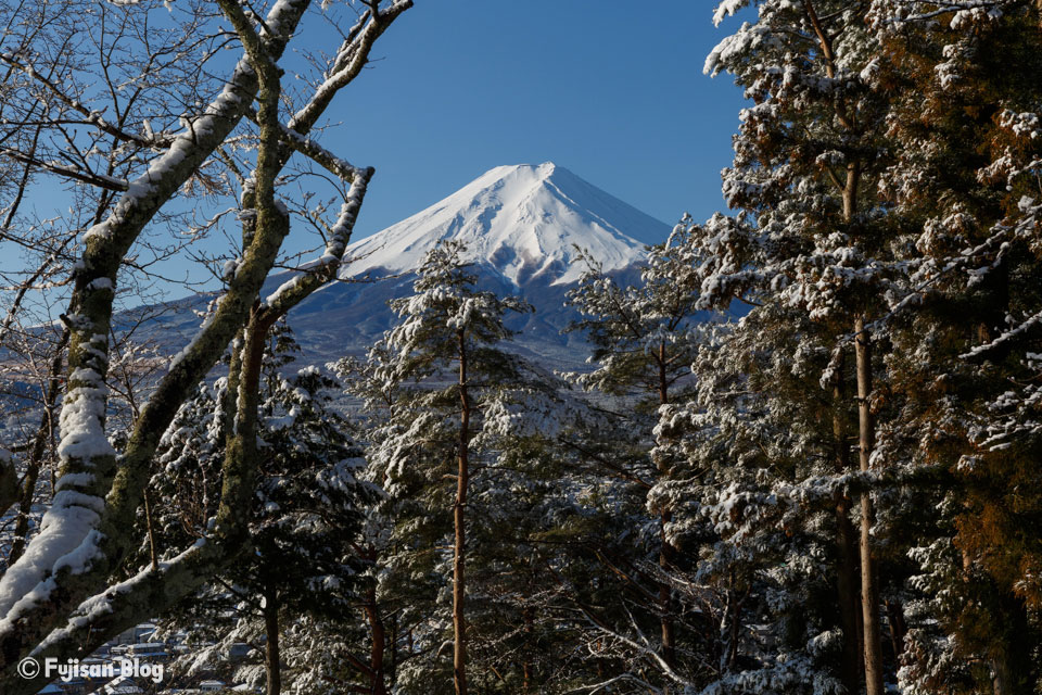 【富士山写真】 天気が戻った朝の新倉山浅間公園からの富士山