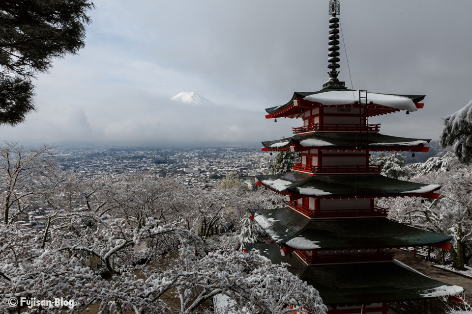 【富士山写真】 雪と桜と富士山