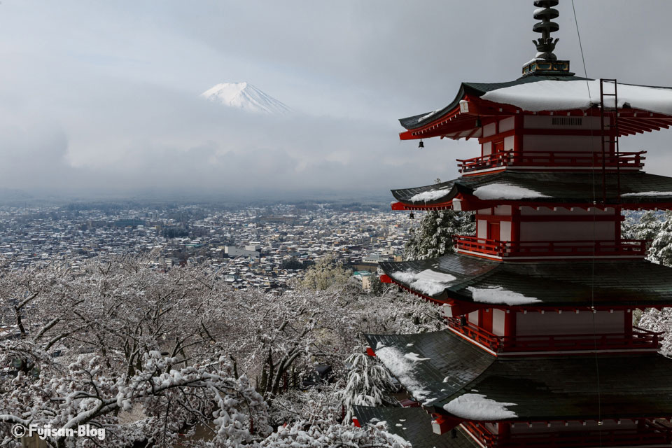 新倉山浅間公園からの富士山