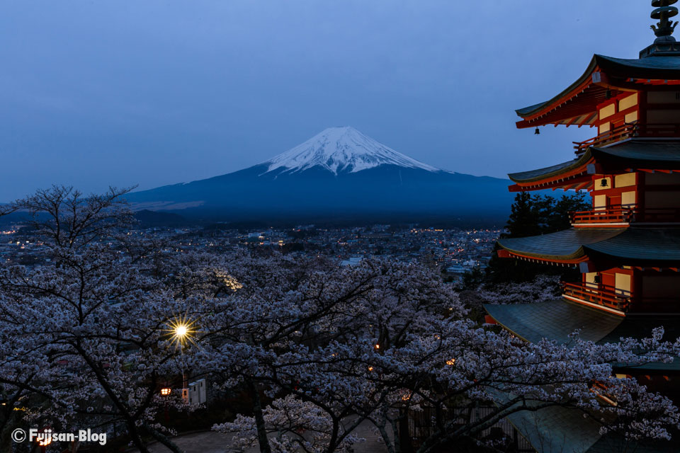忠霊塔からの桜と富士山