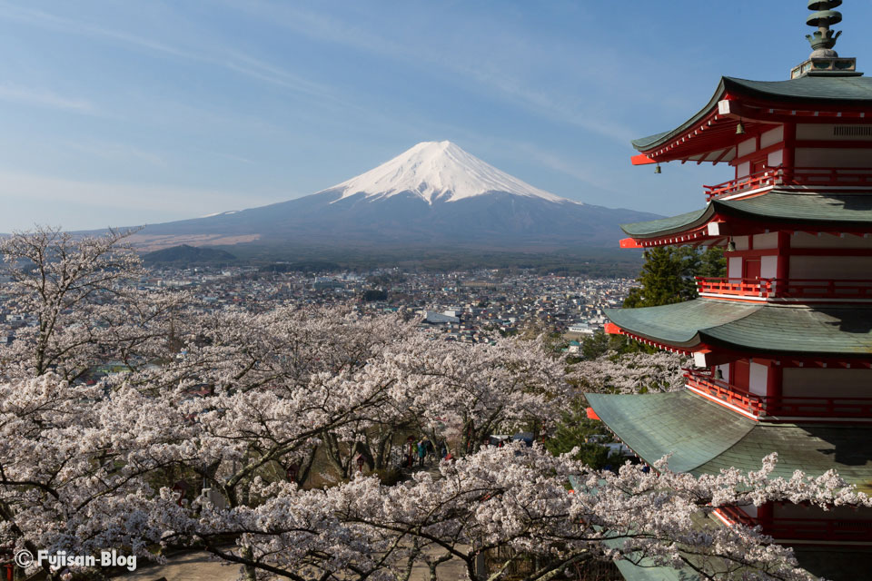 【富士山写真】 またまた新倉山浅間公園（忠霊塔）からの桜と富士山