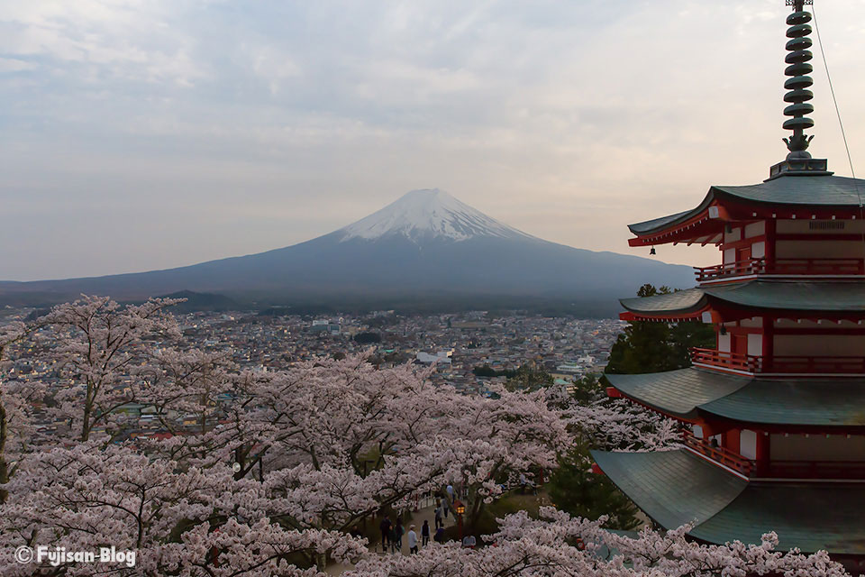【富士山写真】新倉山浅間公園（忠霊塔）からの富士山と桜