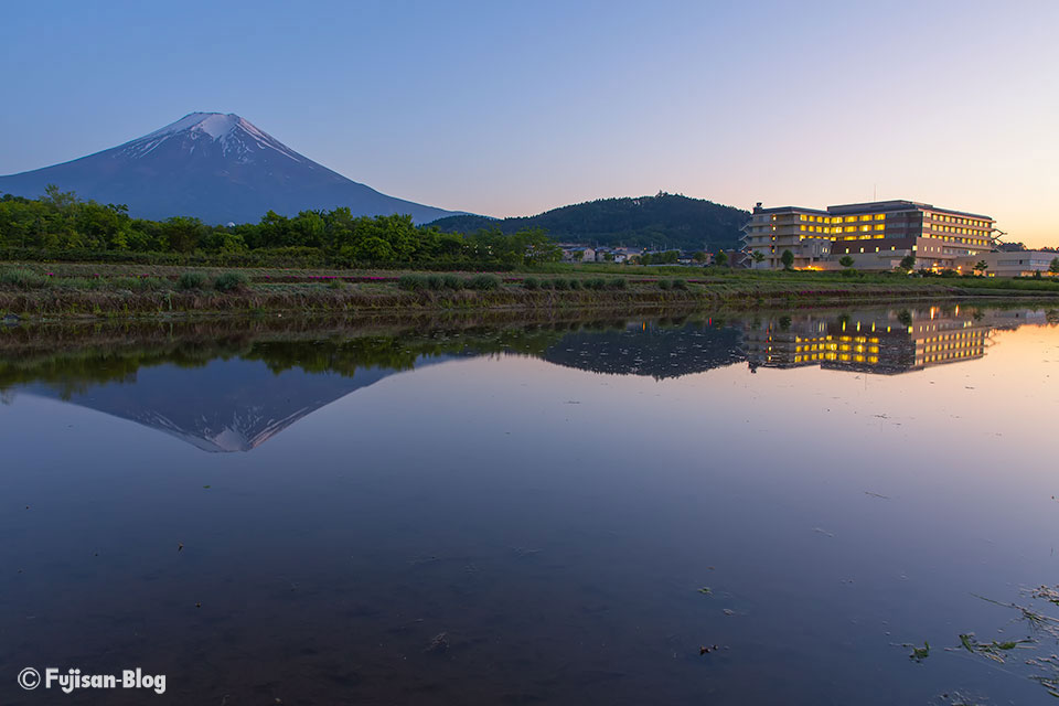 【富士山写真】富士吉田市から田んぼと富士山