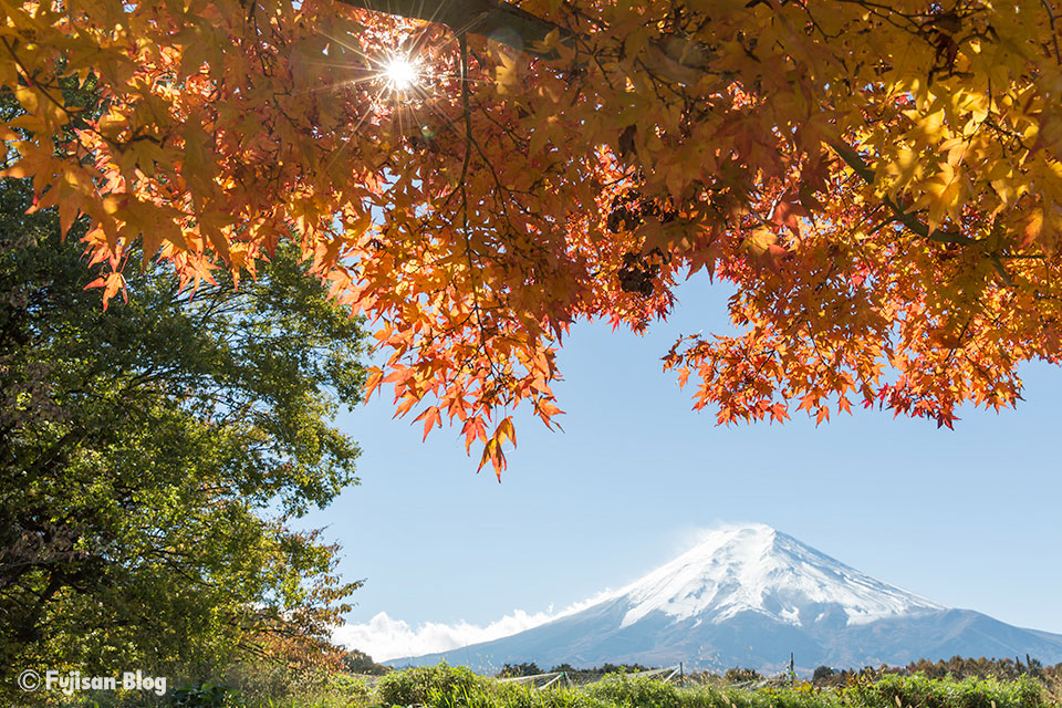 【富士山写真】2016年富士吉田市農村公園の秋色