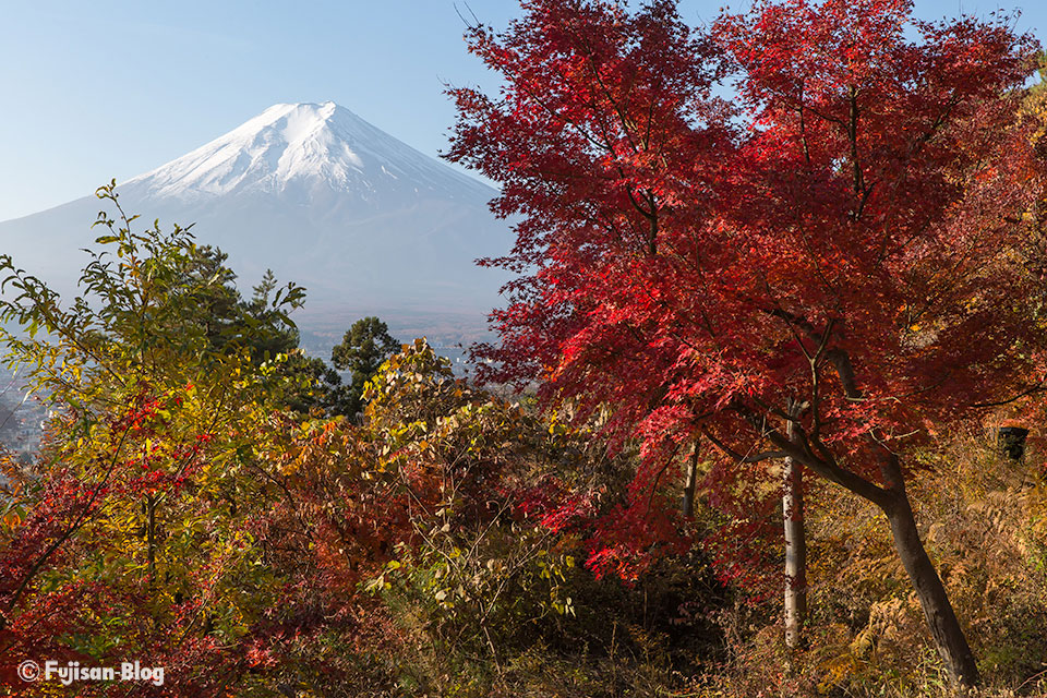 【富士山写真】2016年富士見孝徳公園からの秋色