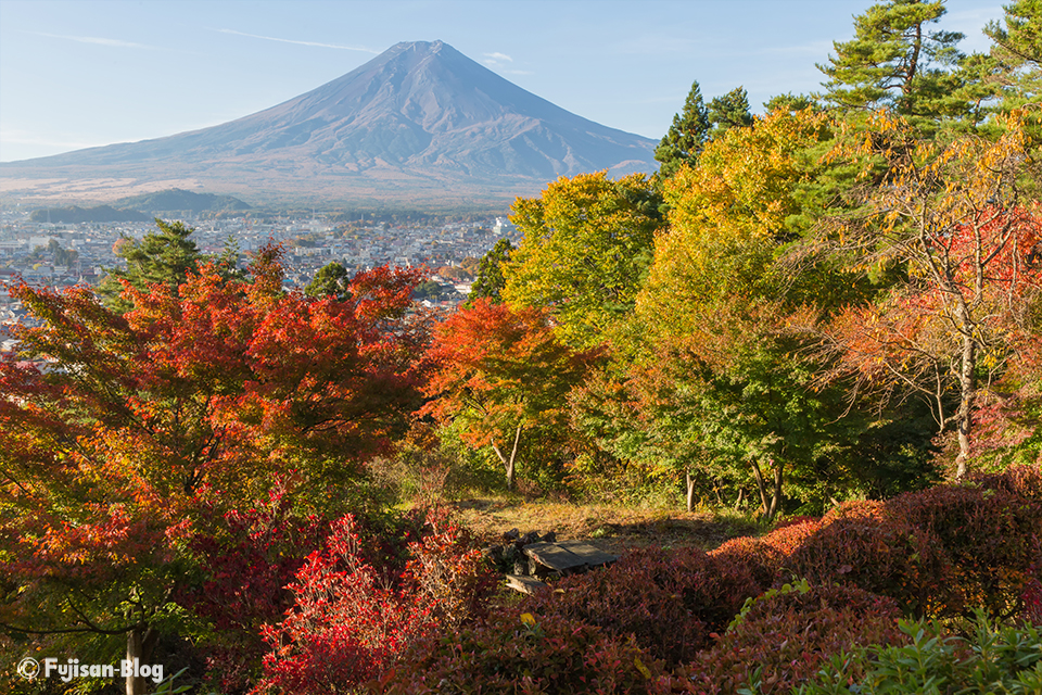 富士見孝徳公園からの紅葉と富士山
