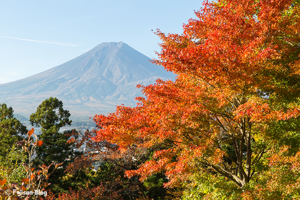 富士見孝徳公園からの紅葉と富士山