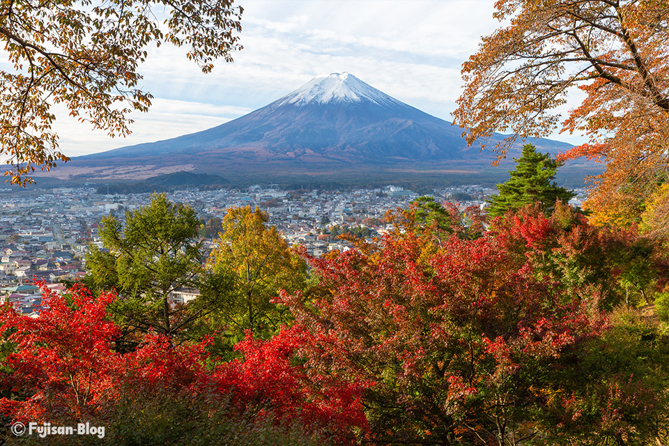 紅葉と富士山