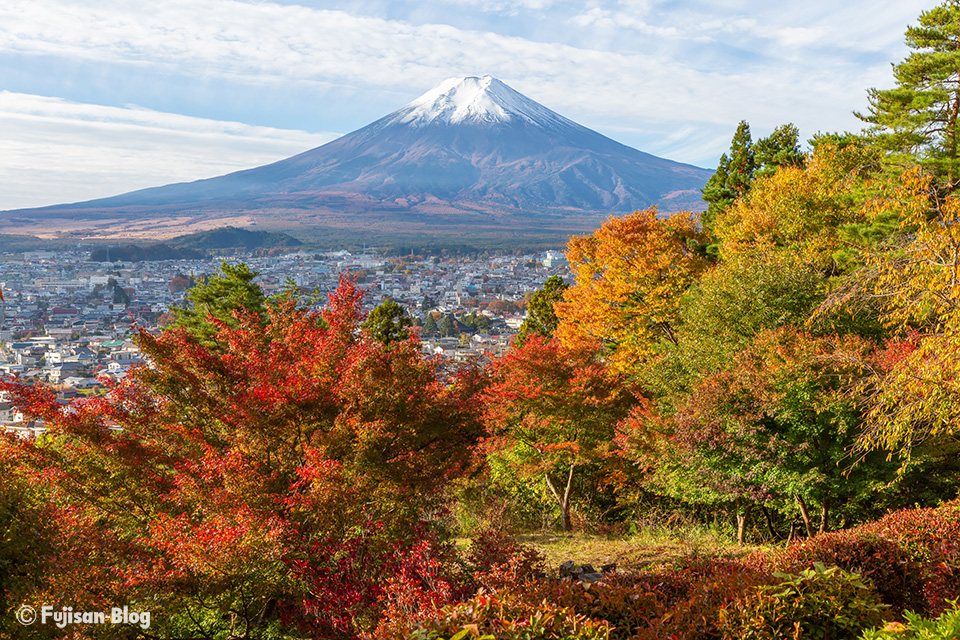 紅葉と富士山