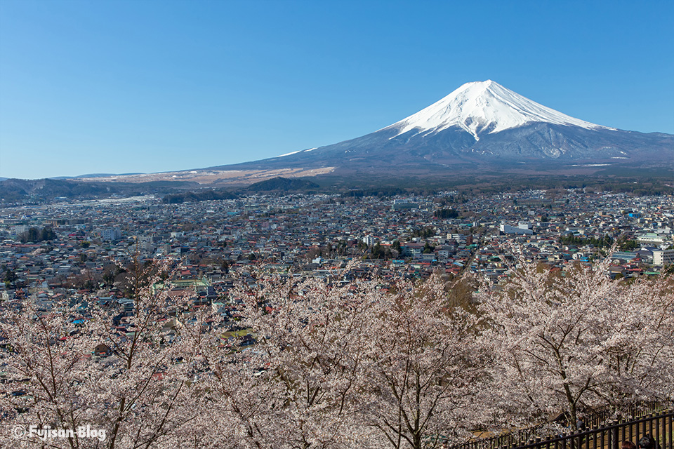 新倉山浅間公園(忠霊塔)からの桜と富士山