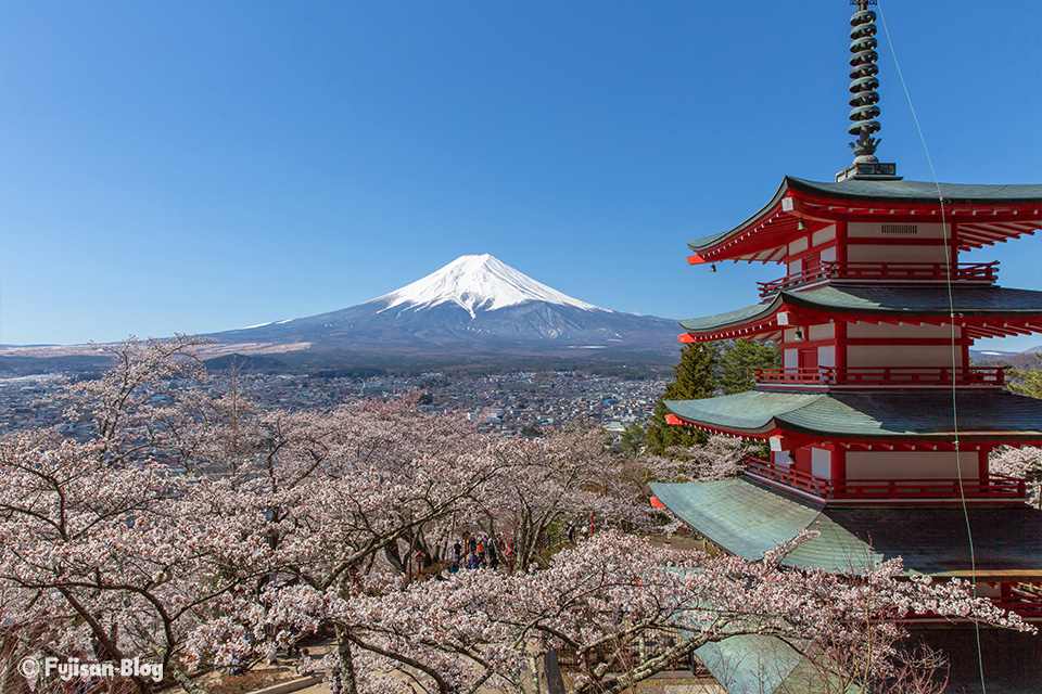 新倉山浅間公園(忠霊塔)からの桜と富士山