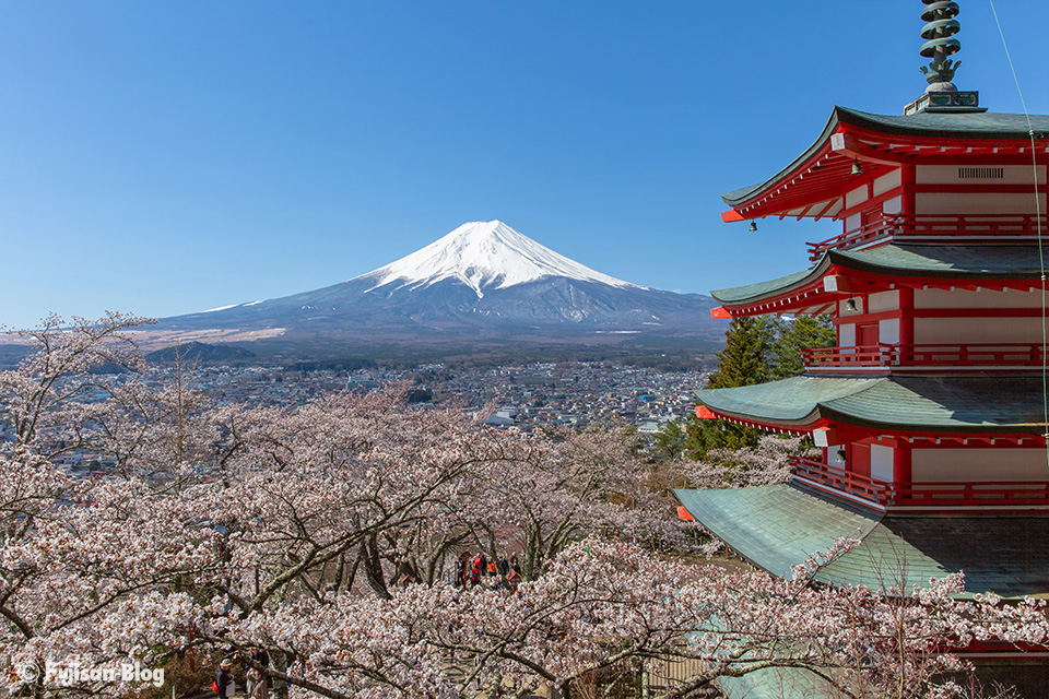 【富士山写真】2019年新倉山浅間公園（忠霊塔）からの桜と富士山