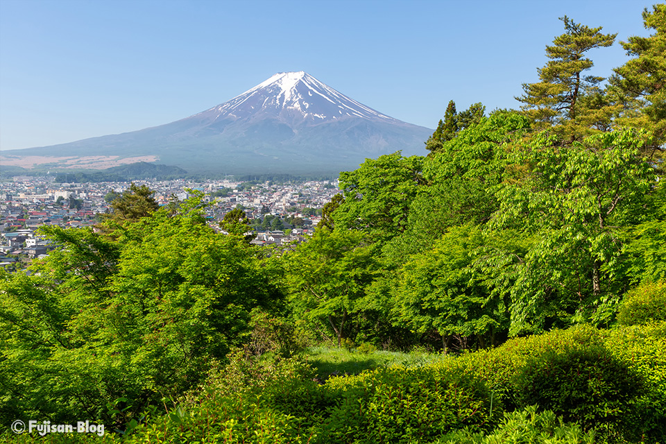 富士見孝徳公園からの新緑と富士山