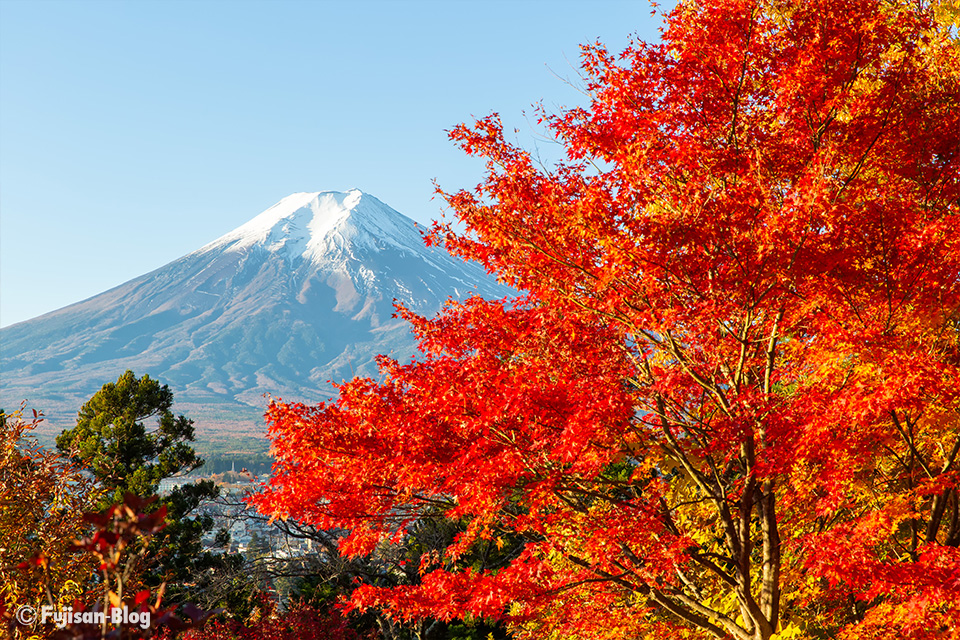 富士見孝徳公園からの紅葉と富士山