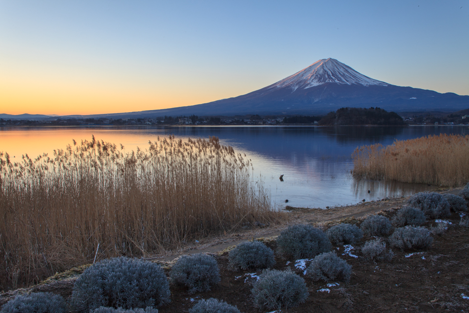【富士山写真】河口湖大石公園の日の出