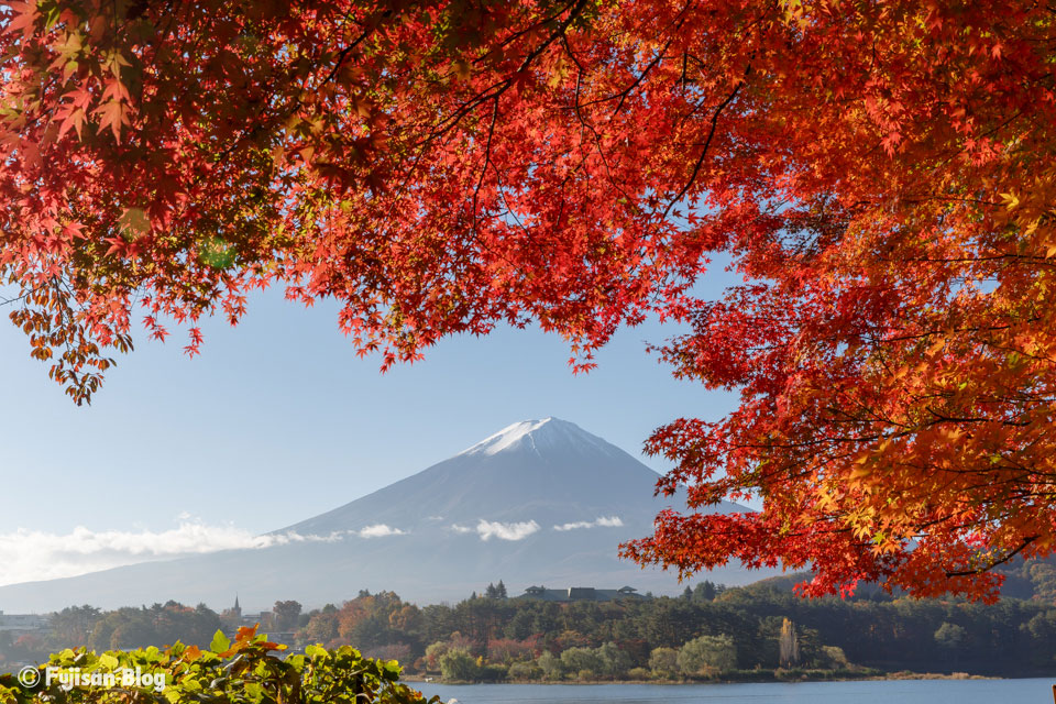 河口湖の紅葉と富士山