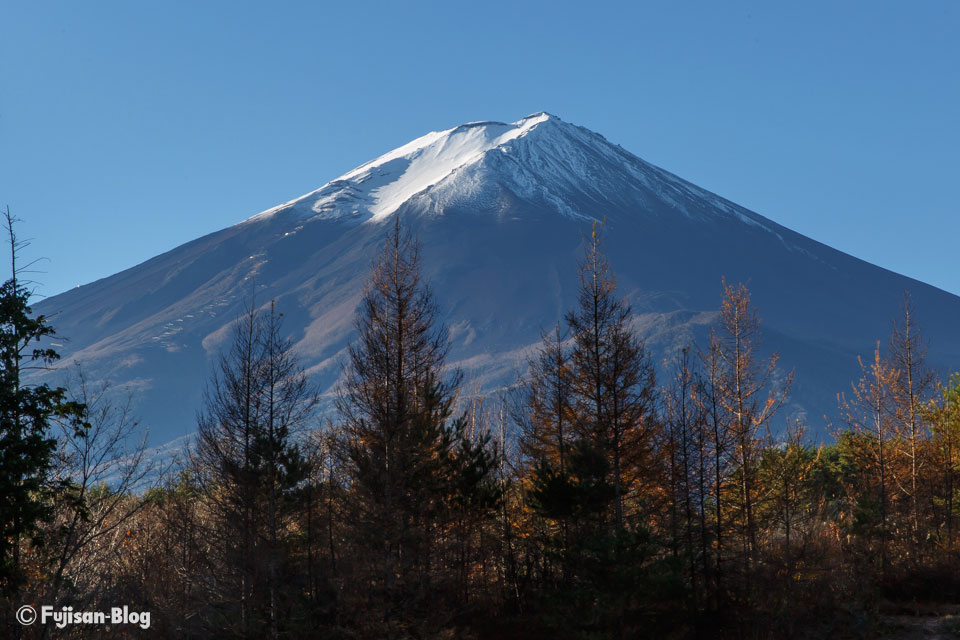 【富士河口湖町】 紅葉を撮ろうと思ったけど．．．