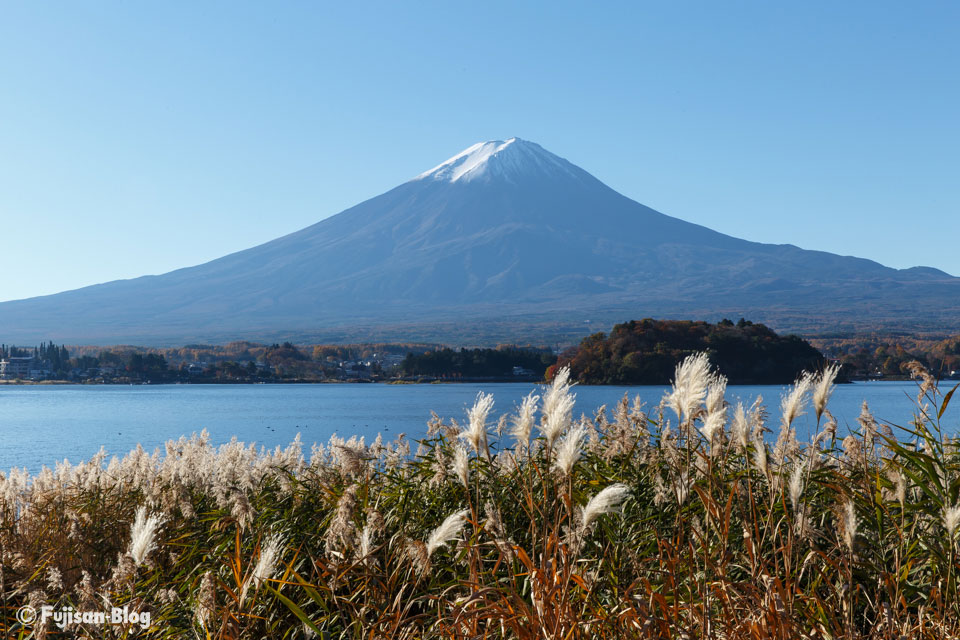 河口湖大石公園からの富士山