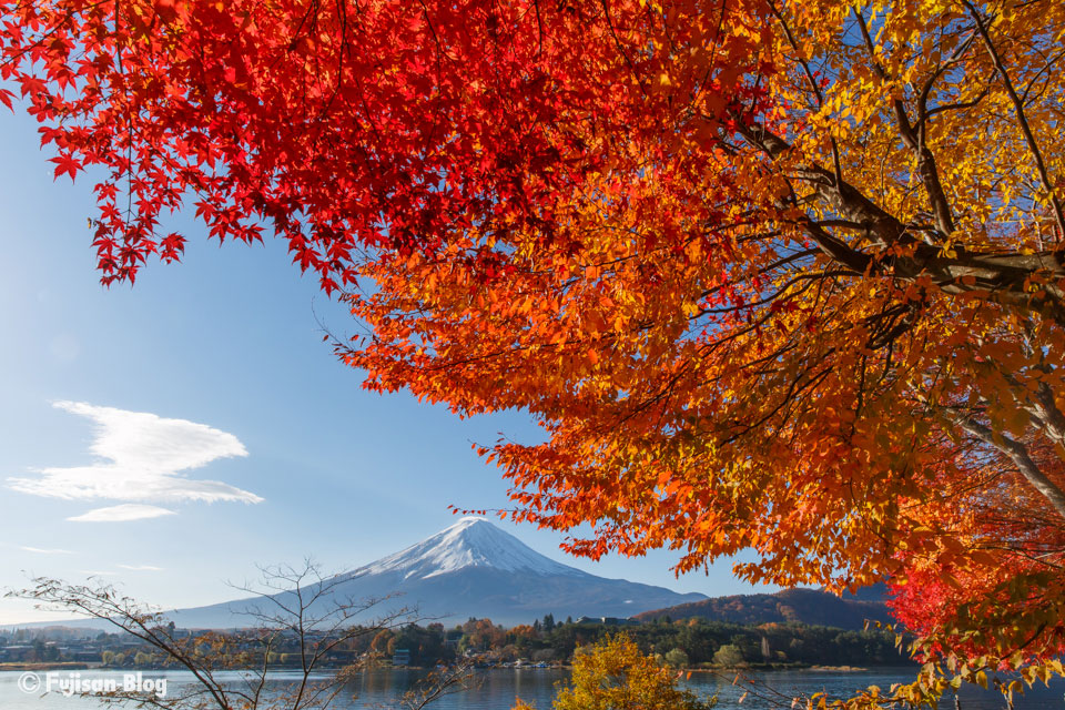 【富士山写真】 晩秋の河口湖からの紅葉
