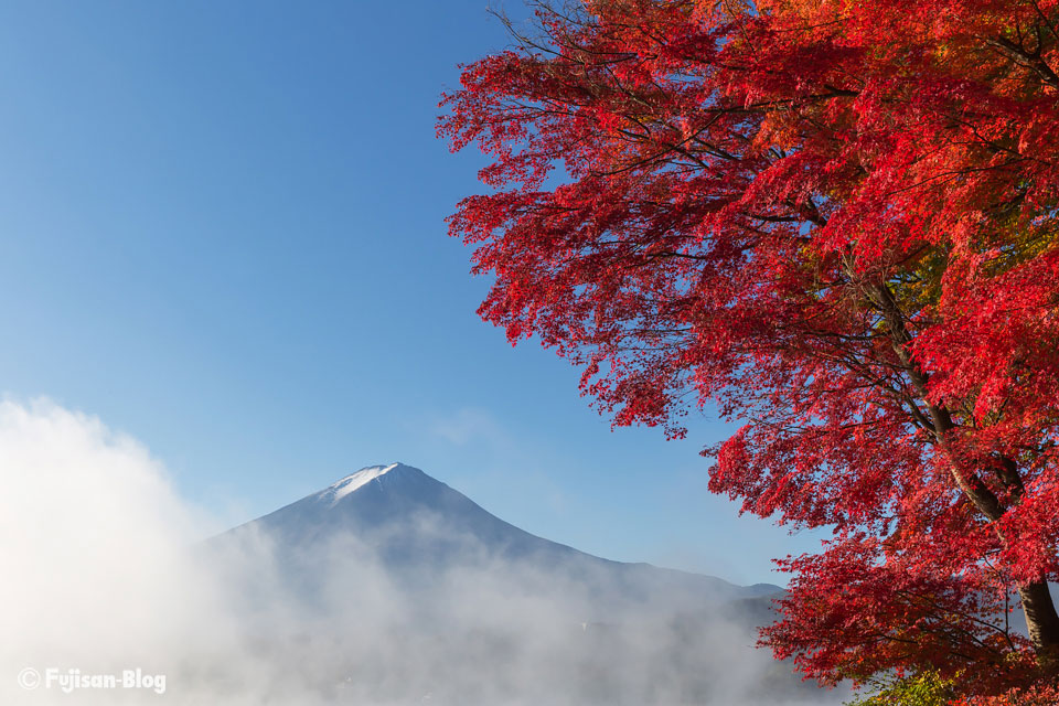 河口湖の紅葉と富士山