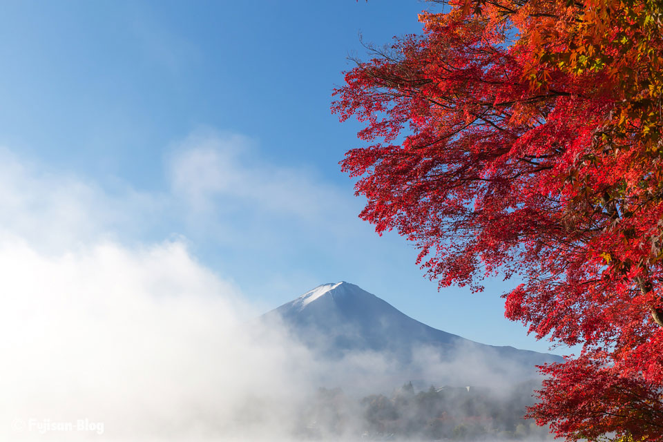 【富士山写真】 河口湖の紅葉状況