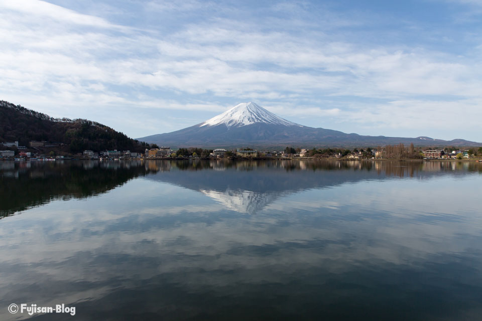 【富士山写真】桜の名所河口湖産屋ヶ崎の桜の開花状況
