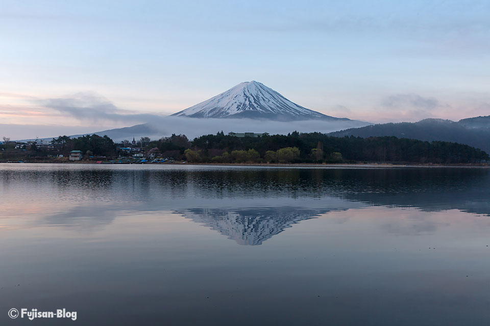 【富士山写真】富士・河口湖さくら祭り付近の開花状況