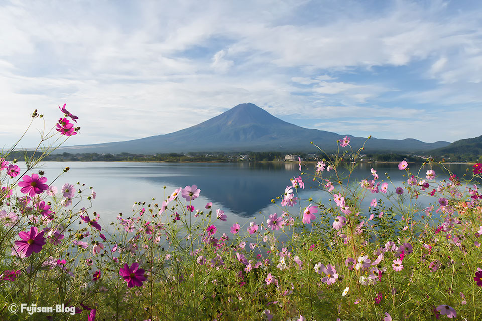 【富士山写真】河口湖から逆さ富士とコウモス