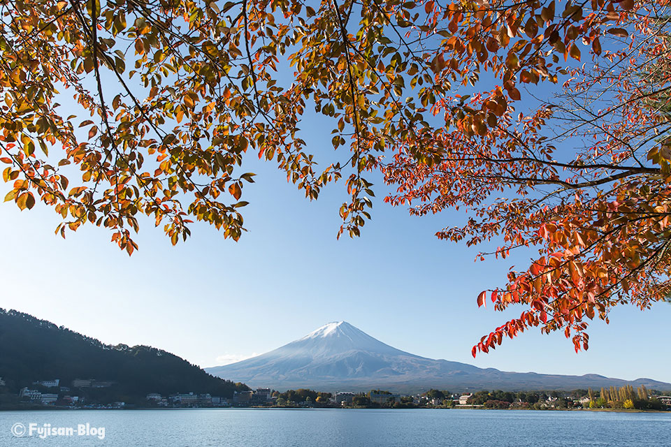 【富士山写真】2016年河口湖紅葉状況（11/4）