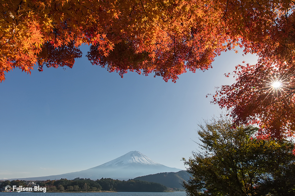 【富士山写真】2016年河口湖紅葉状況（11/13）