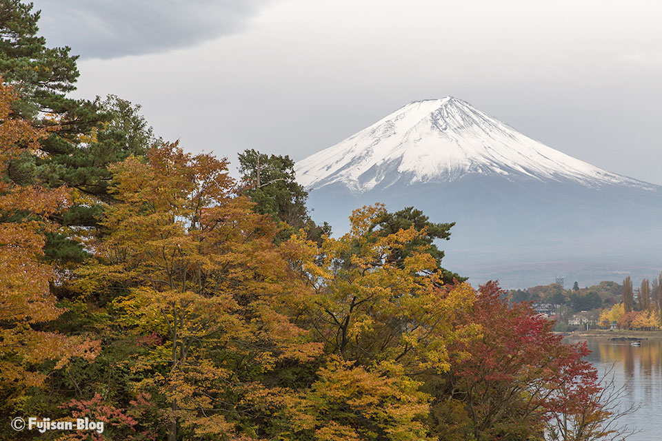 【富士山写真】2016年河口湖紅葉状況（11/14）