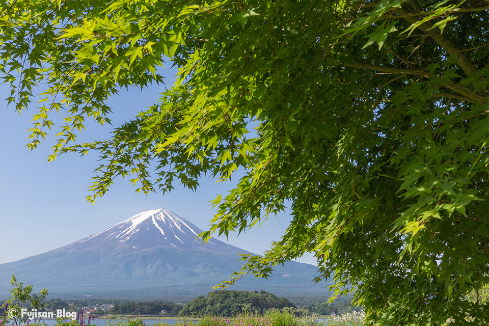 【富士山写真】2017年梅雨の合間の晴天？