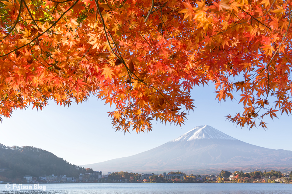 【富士山写真】2017年河口湖紅葉状況（11/9）