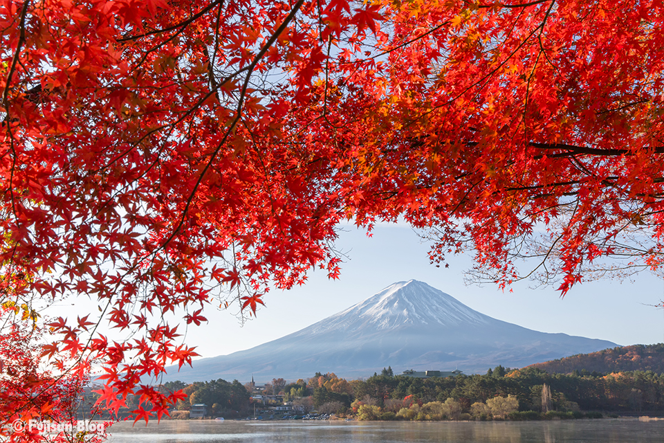 【富士山写真】2017年河口湖紅葉状況（11/17）