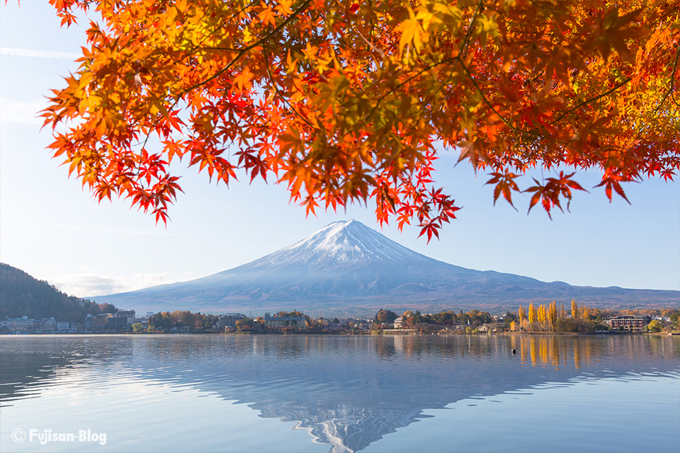 河口湖からの紅葉と富士山