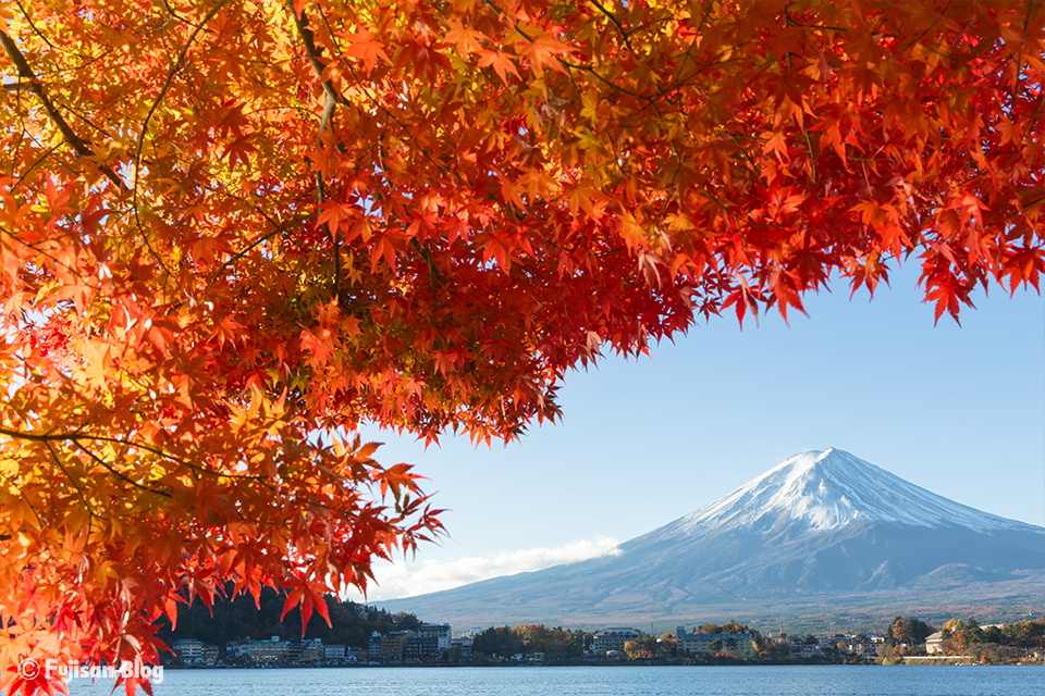【富士山写真】2017年河口湖紅葉状況（11/19）