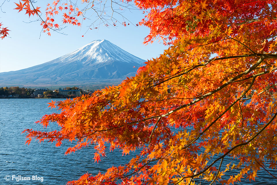 【富士山写真】2017年河口湖紅葉状況（11/21）