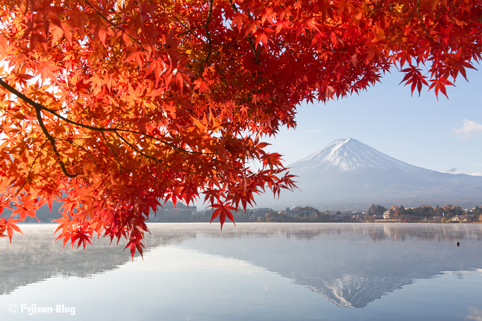 【富士山写真】2017年河口湖紅葉状況（11/22）